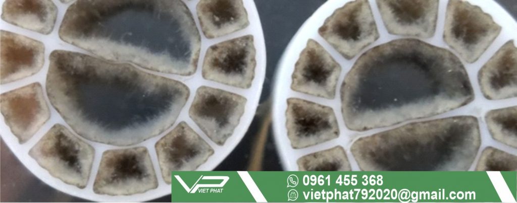 Giá thể di động MBBR giá rẻ sản xuất tại Việt Nam - Vietphattech